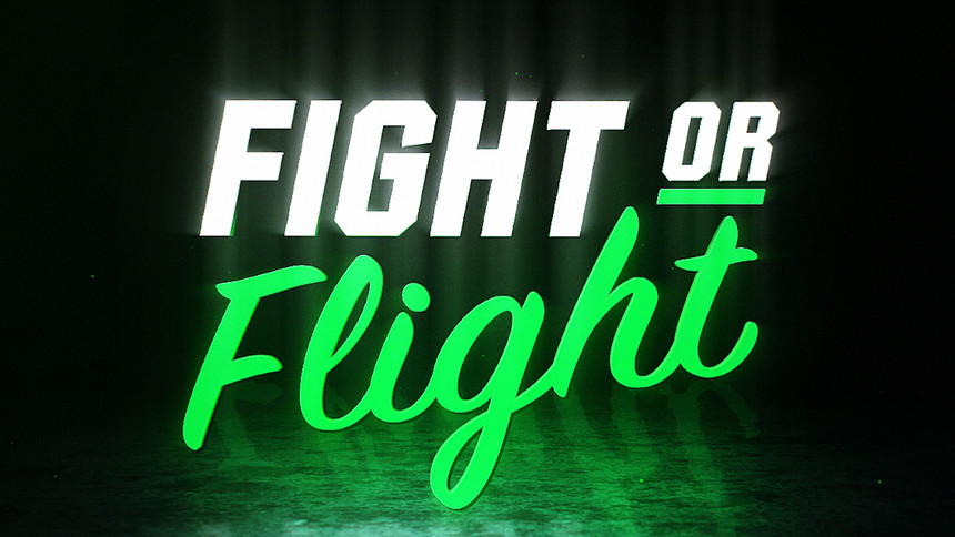 Fight Or Flight: Full Card And How To Watch